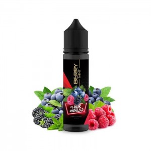 Lichid Flavor Madness Berry Mint 50ml